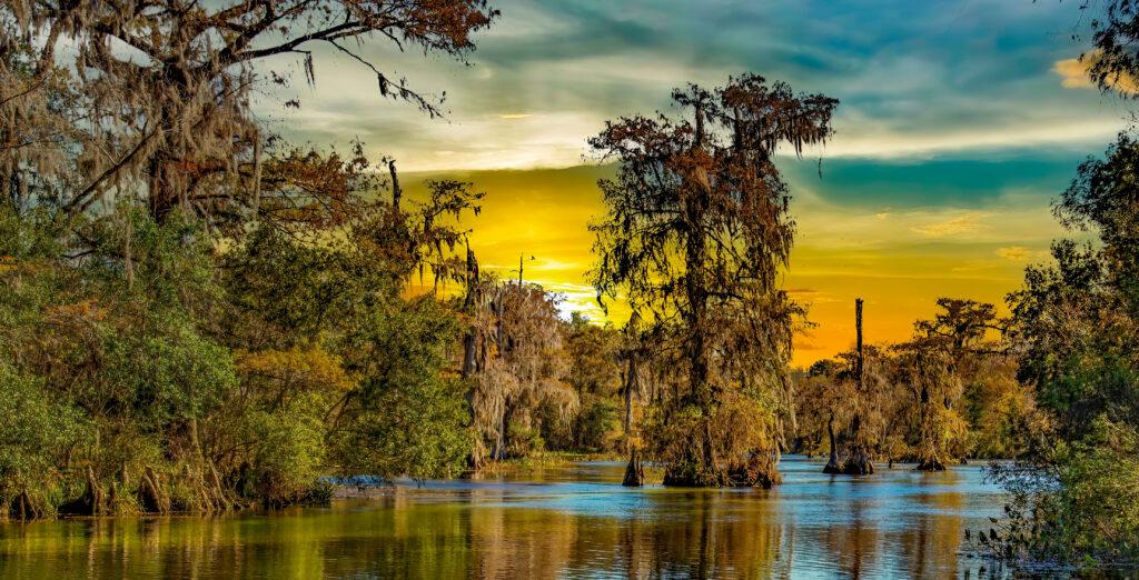 Photo,Of,Louisiana,Swamp,And,Bayou