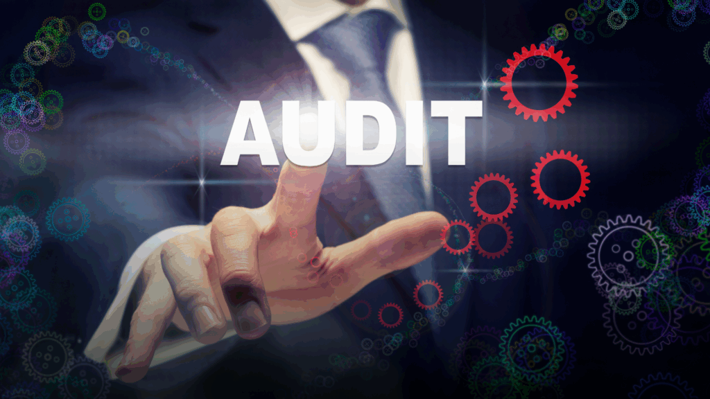 Understanding the 2024 Examination Report for Nonprofit Organization Audit Tools